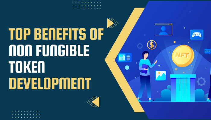 Top Benefits of Non Fungible Token Development