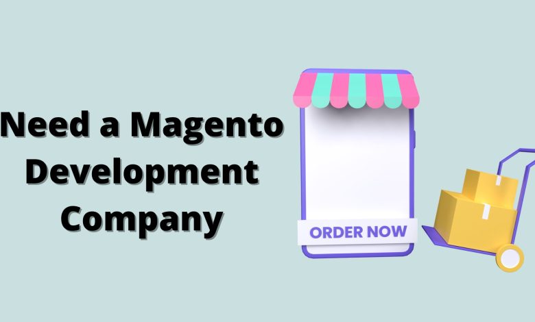 Why Do You Need a Magento Development Company for a Winning Marketplace?