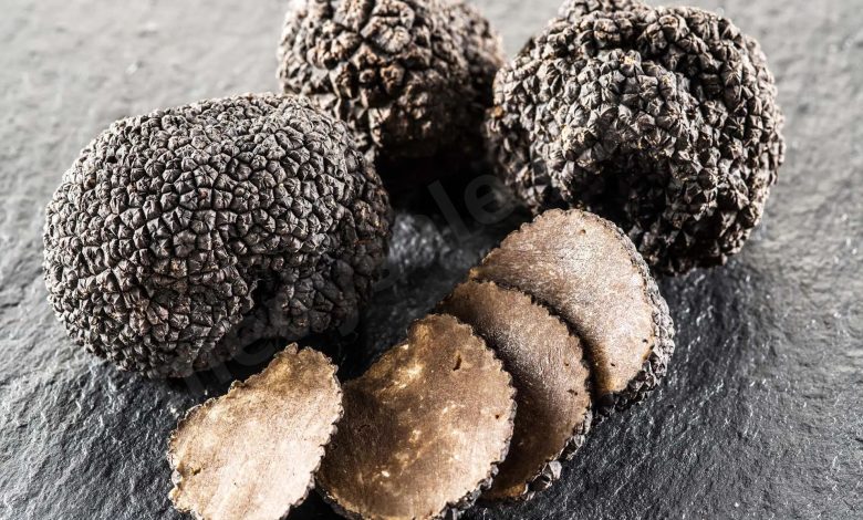 Truffles Have Amazing Health Benefits