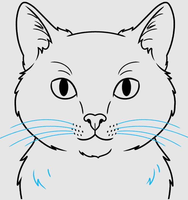 Draw Cat Face