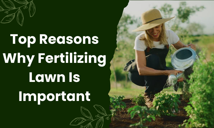 Top Reasons Why Fertilizing Lawn Is Important