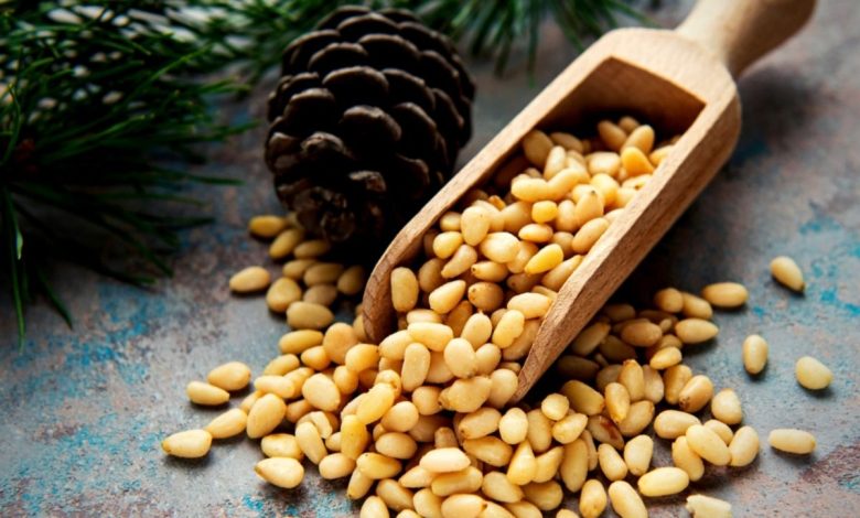 Are pine nuts in the peanut family