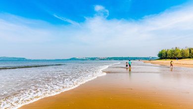 An insider's guide to Goa