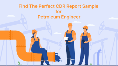Find The Perfect CDR Sample for Petroleum Engineer