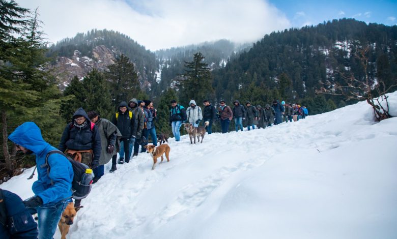 5 Best Treks in Manali