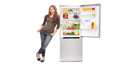 Refrigerator Repair Service UAE