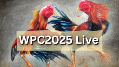 What to Expect From WPC 2025 and Beyond