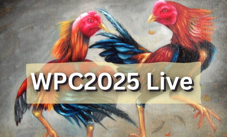 What to Expect From WPC 2025 and Beyond