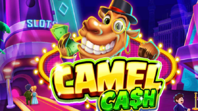 camel-cash-casino