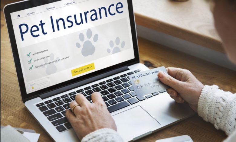 How To Buy Pet Insurance